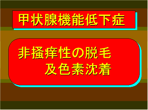 甲状腺機能低下症06