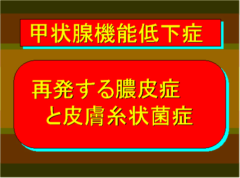 甲状腺機能低下症07