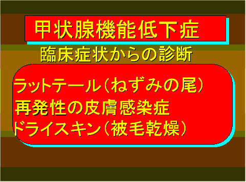 甲状腺機能低下症09