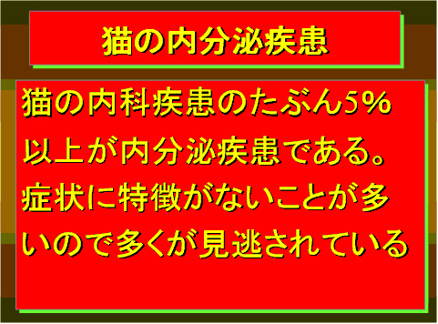 猫の内分泌疾患