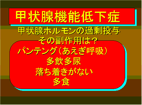 甲状腺機能低下症17