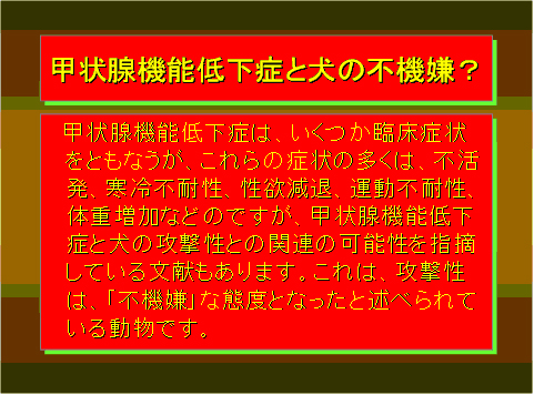 甲状腺機能低下症と犬の不機嫌?