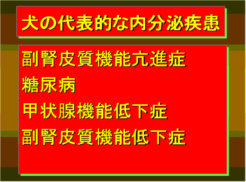 犬の代表的な内分泌疾患