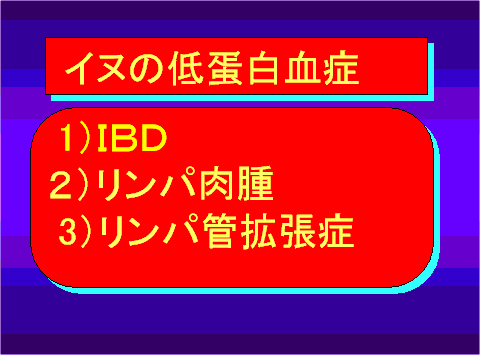 イヌの低蛋白血症