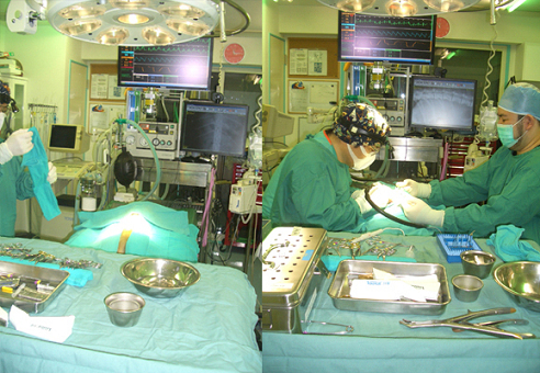 椎間板ヘルニアの最も起こりやすい位置