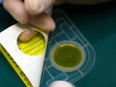 皮膚糸状菌症を検出