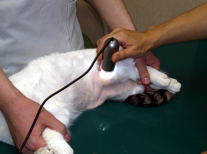 皮膚の表面を拡大