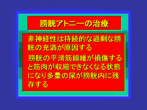 膀胱アトニーの治療03