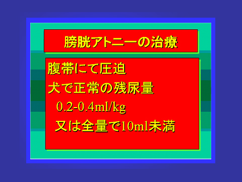 膀胱アトニーの治療06