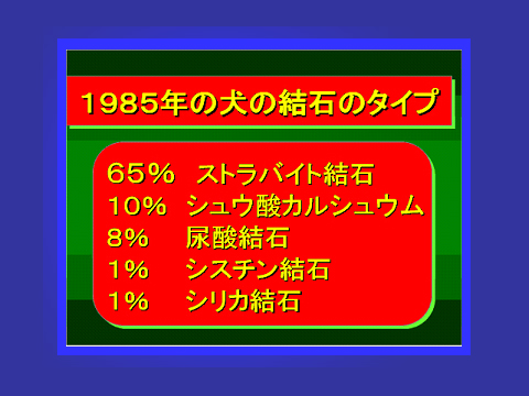 1985年の犬の結石のタイプ