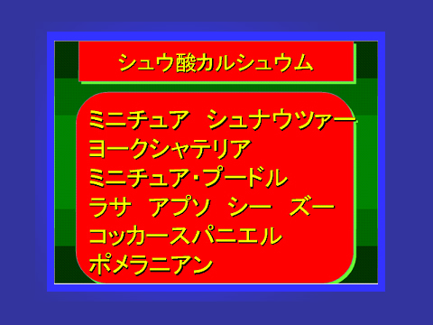 シュウ酸カルシュウム