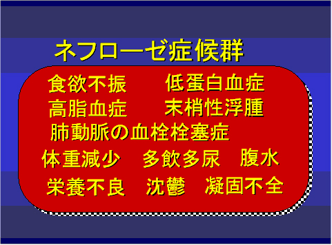 ネフローゼ症候群02