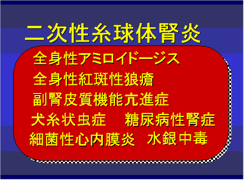 二次性糸球体腎炎