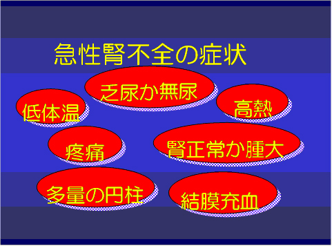 急性腎不全の症状