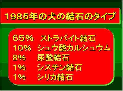 1985年の犬の結石のタイプ