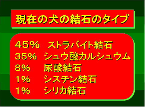 現在の犬の結石のタイプ