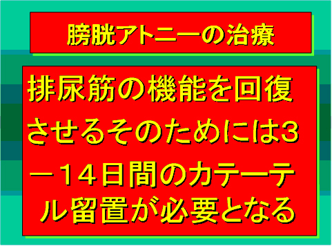 膀胱アトニーの治療05