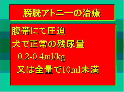 膀胱アトニーの治療06