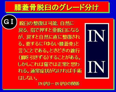 膝蓋骨脱臼のグレード分け G1