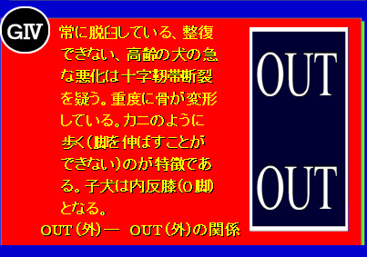 膝蓋骨脱臼のグレード分け G4