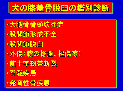 犬の膝蓋骨脱臼の鑑別診断