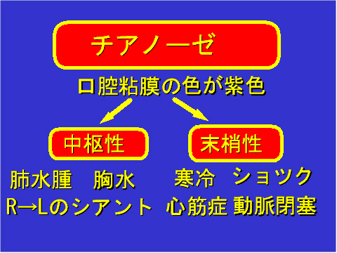 チアノーゼ