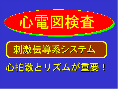 心電図検査
